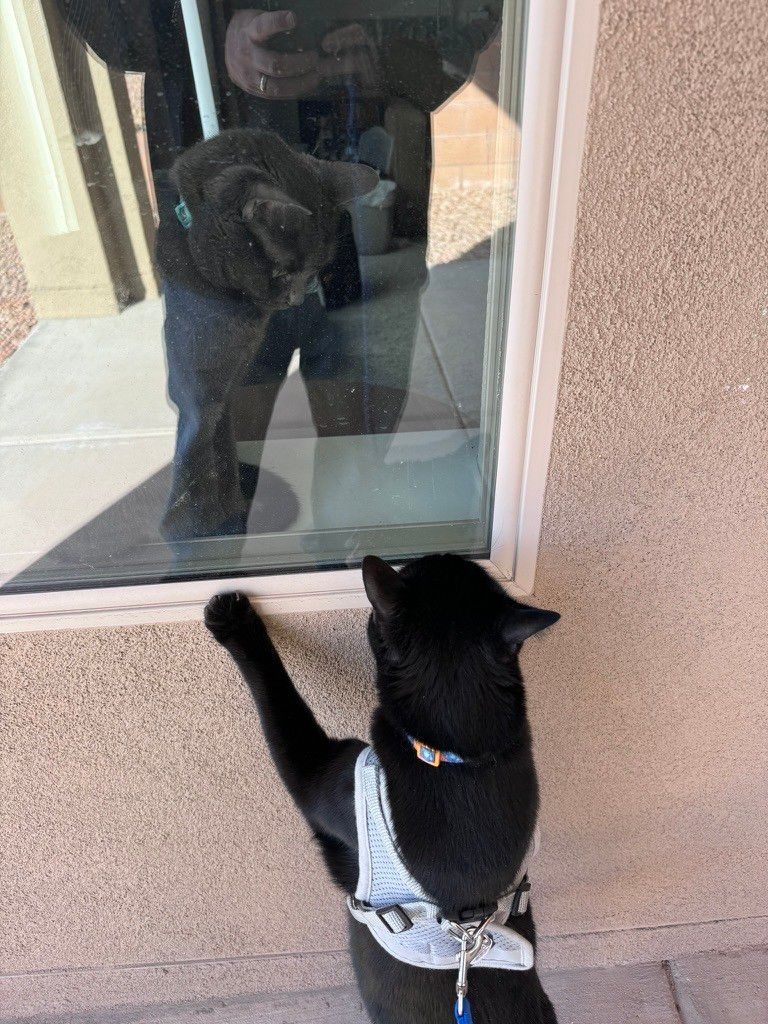 Mastodon Post 2024-10-12