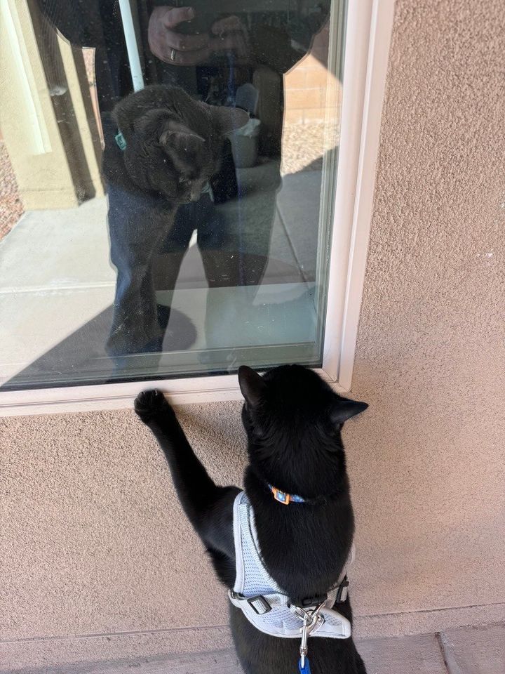 Mastodon Post 2024-10-12