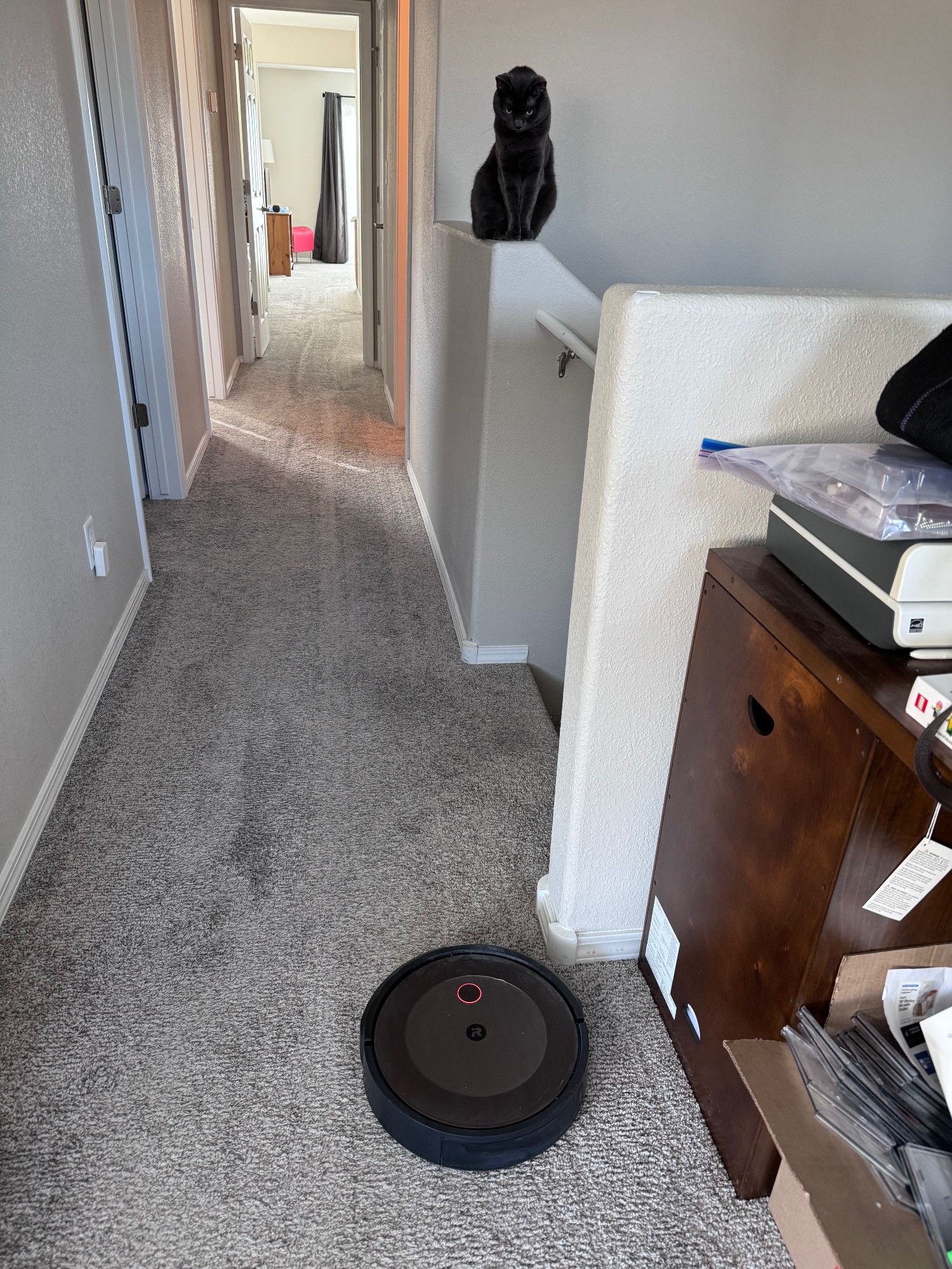 Bluesky Post 2024-01-20