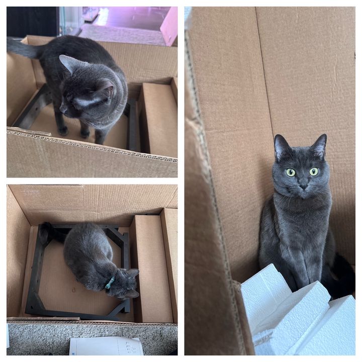 Bluesky Post 2024-12-28