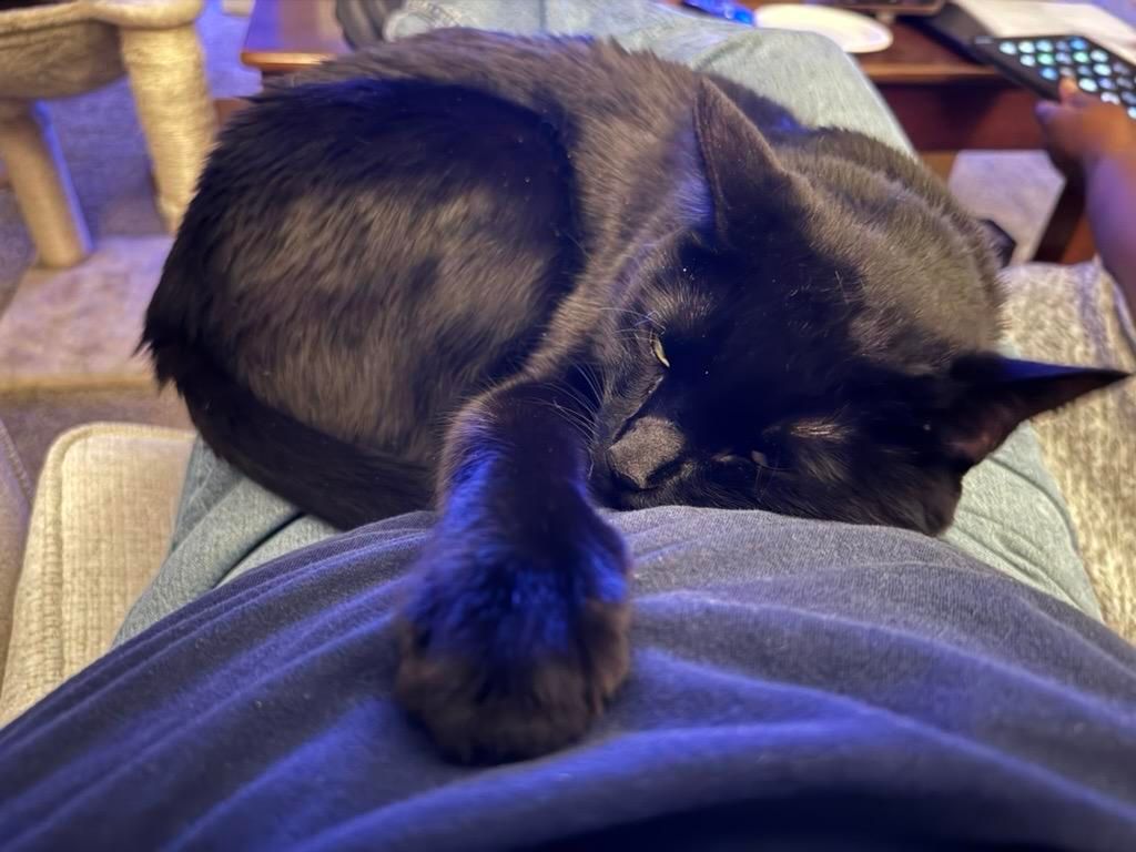 Mastodon Post 2025-03-16