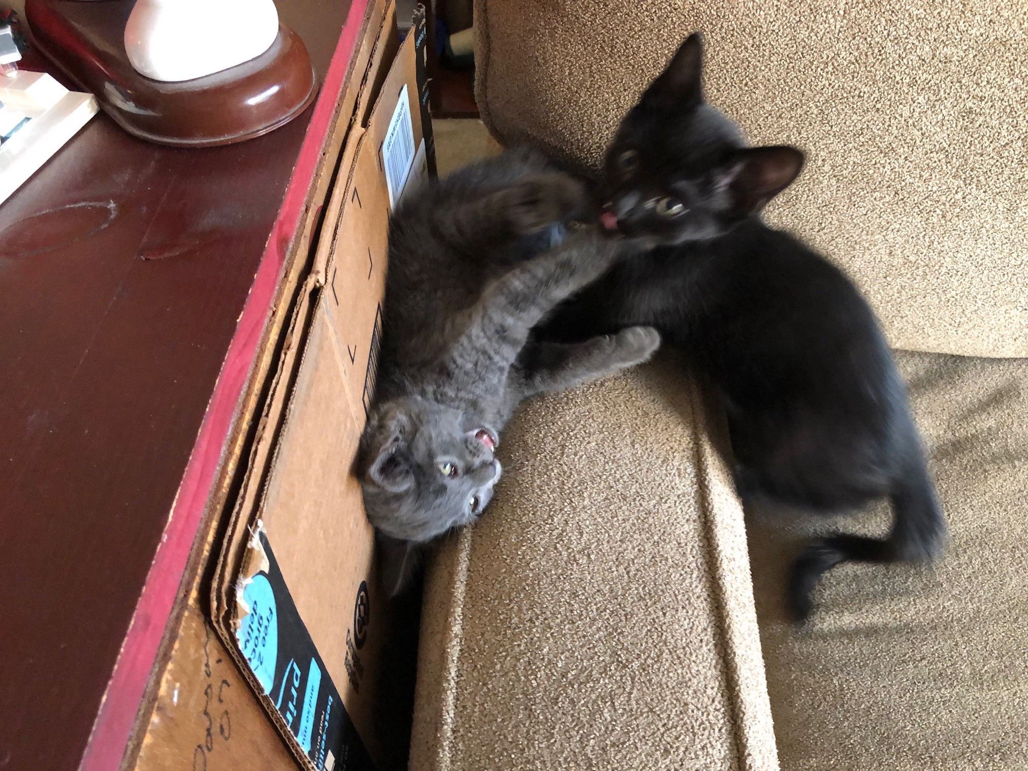 Bluesky Post 2025-04-08