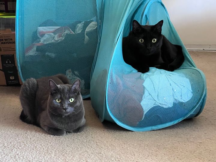 Mastodon Post 2023-12-09