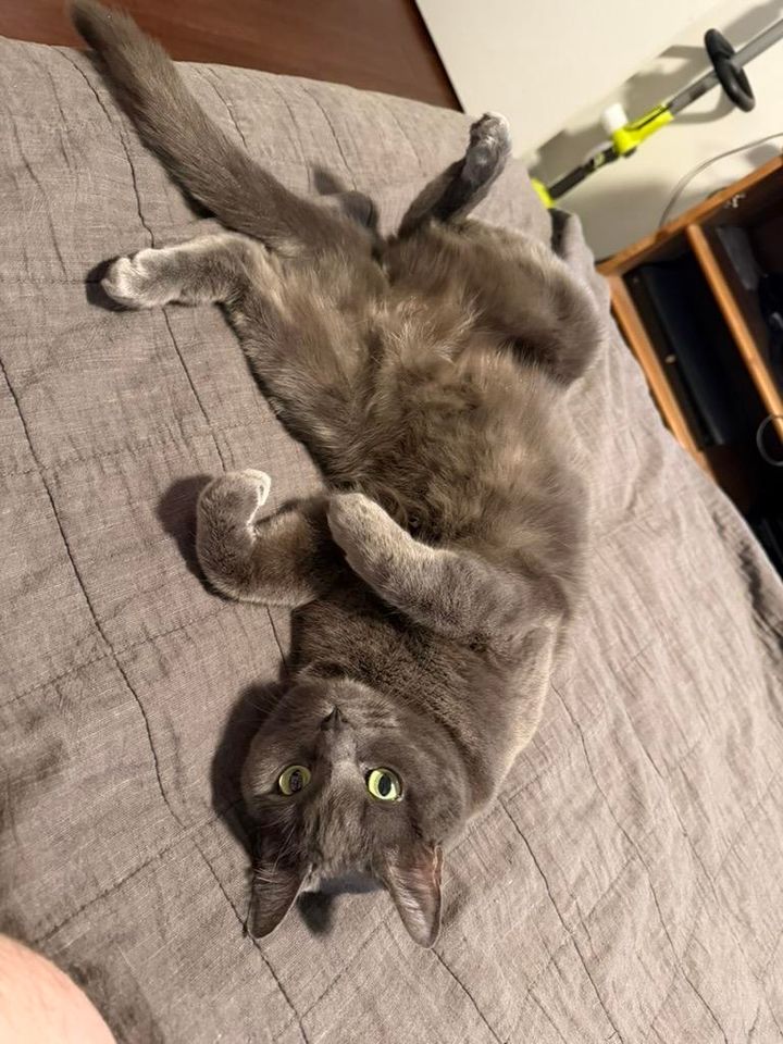 Mastodon Post 2026-01-25