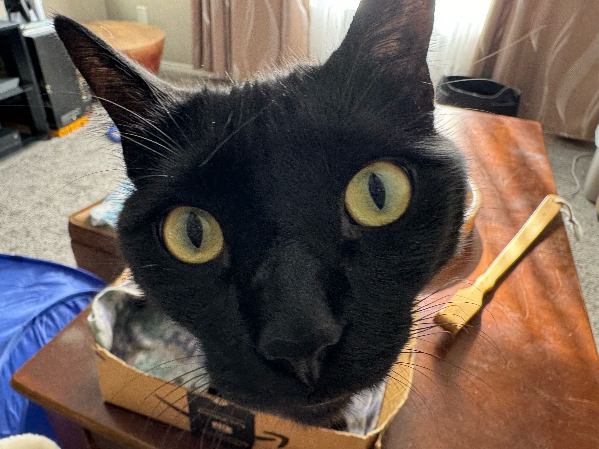 Bluesky Post 2024-03-10