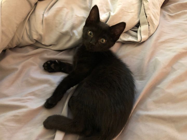 Mastodon Post 2024-06-15