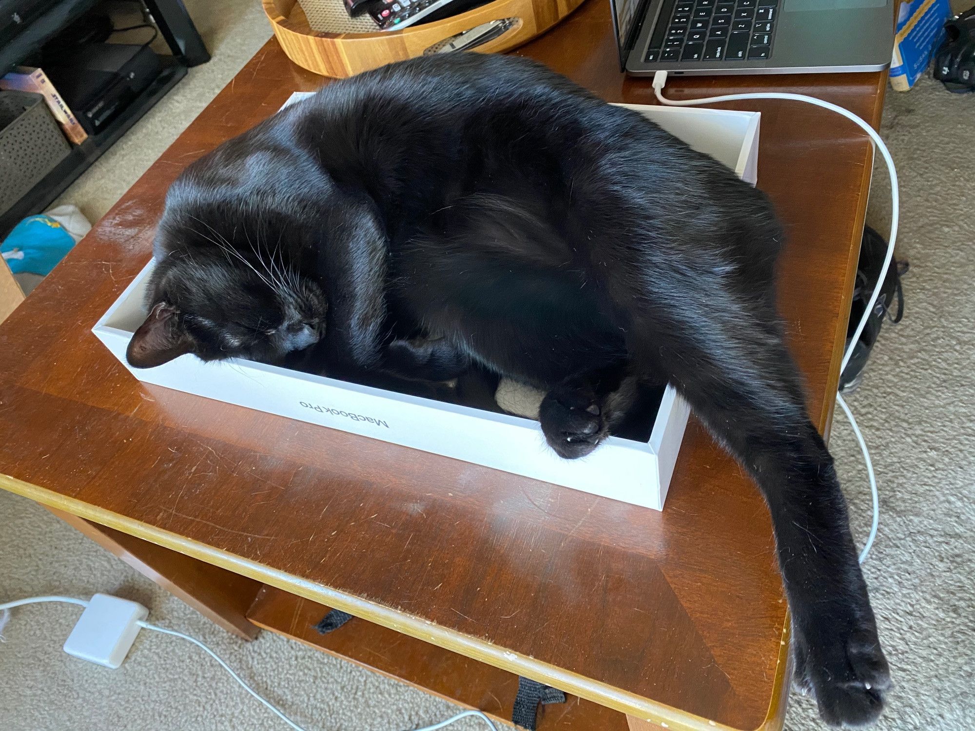 Bluesky Post 2024-11-23