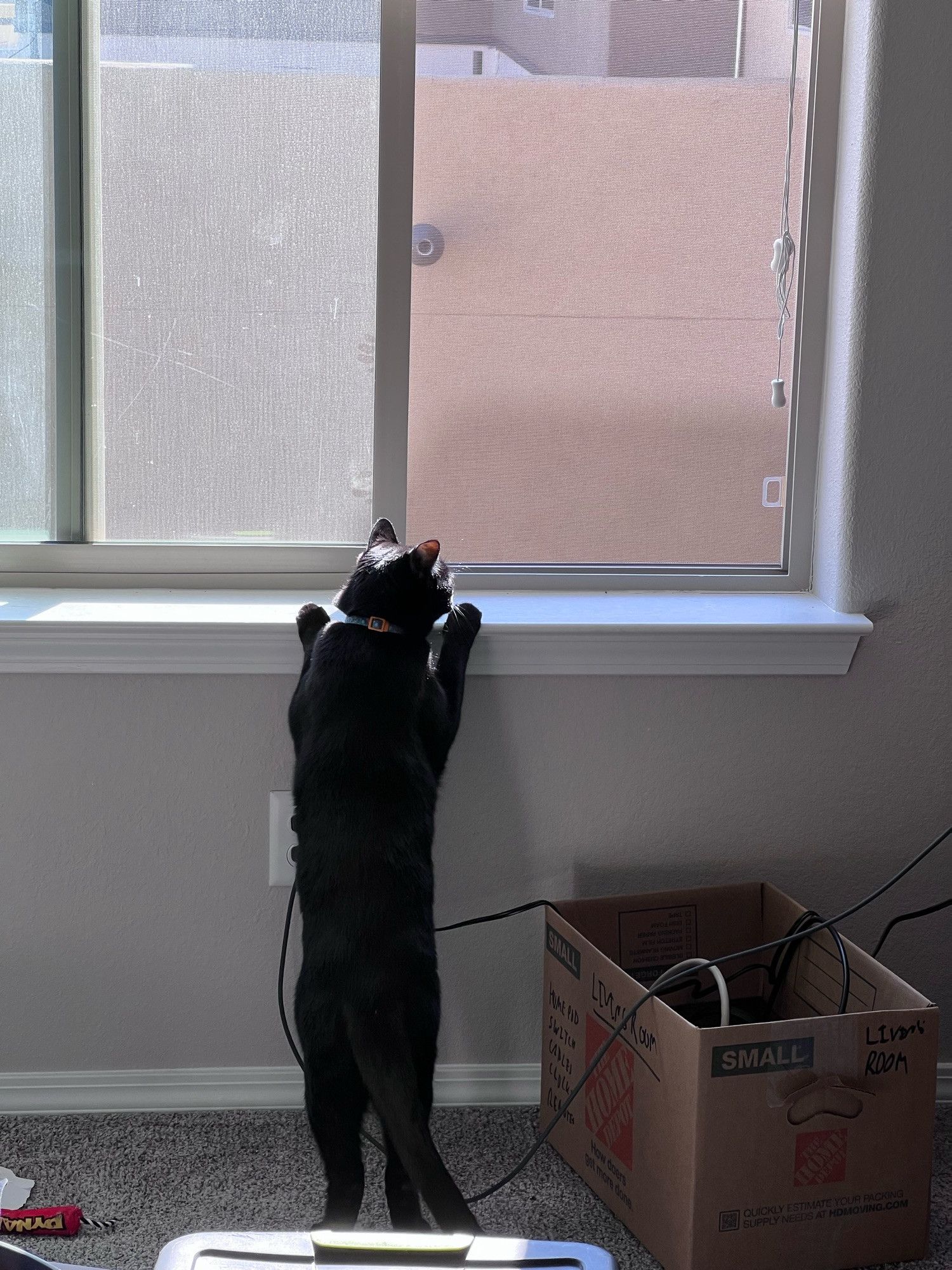 Bluesky Post 2023-09-23