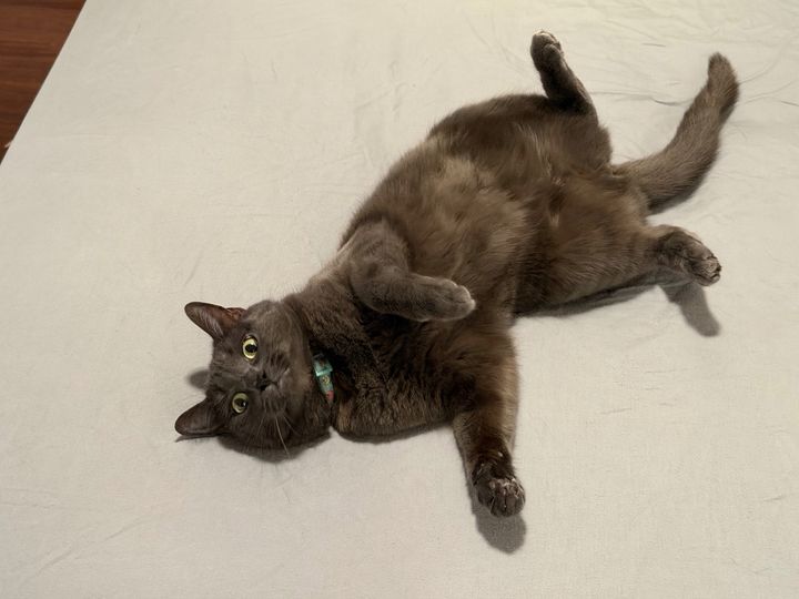 Bluesky Post 2025-12-28