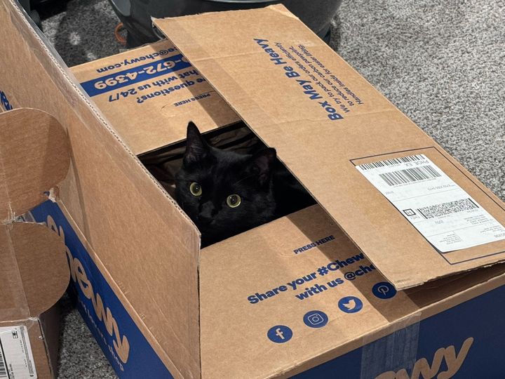 Bluesky Post 2024-06-01