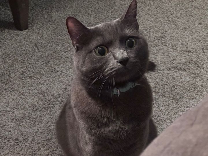 Bluesky Post 2024-10-05