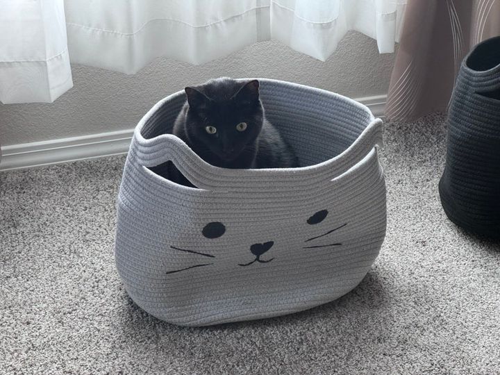 Mastodon Post 2024-02-10