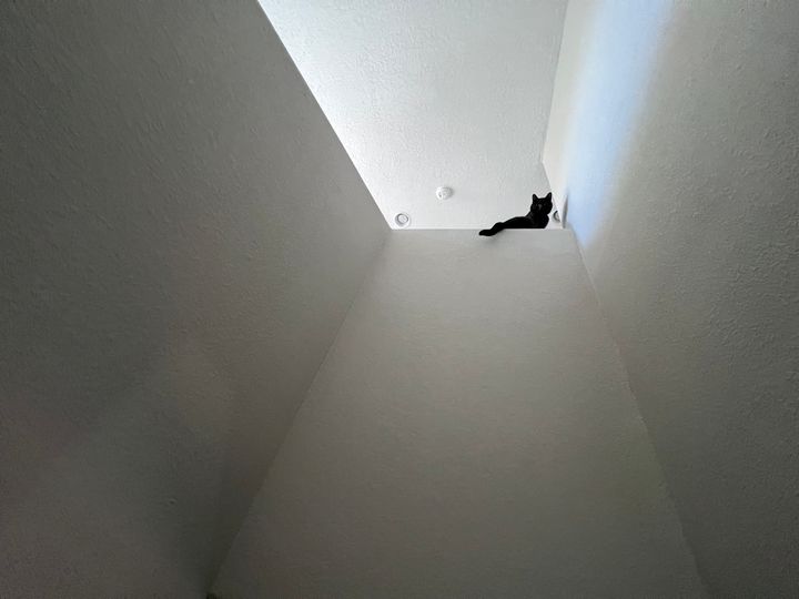 Mastodon Post 2023-10-28