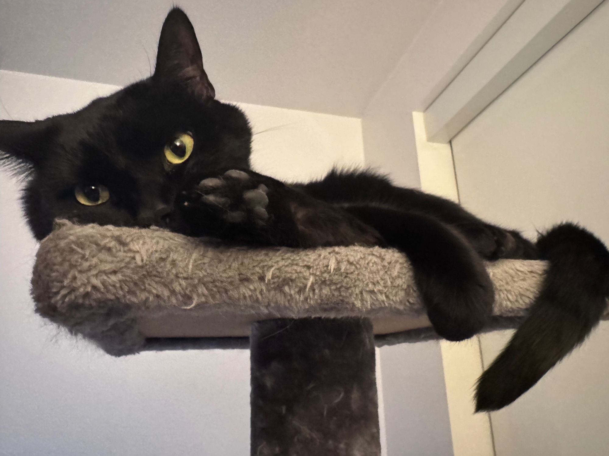 Bluesky Post 2025-12-07