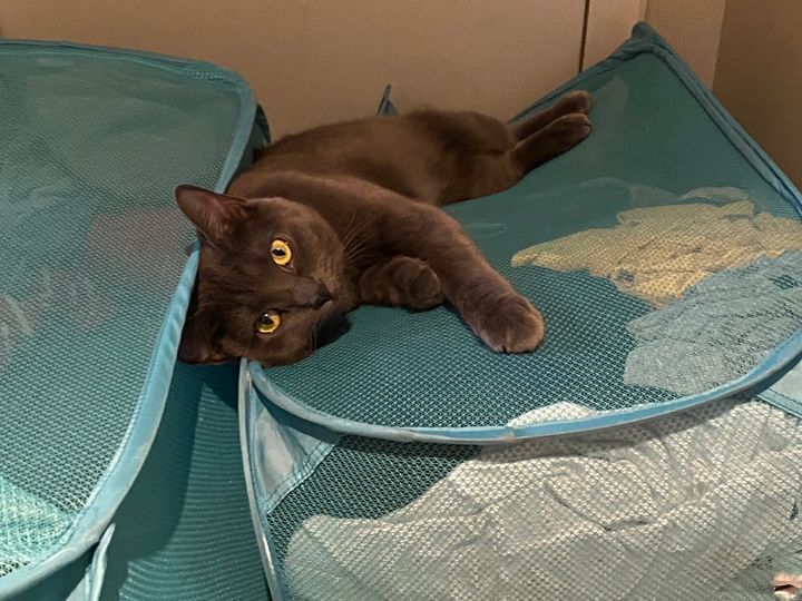 Mastodon Post 2023-07-22