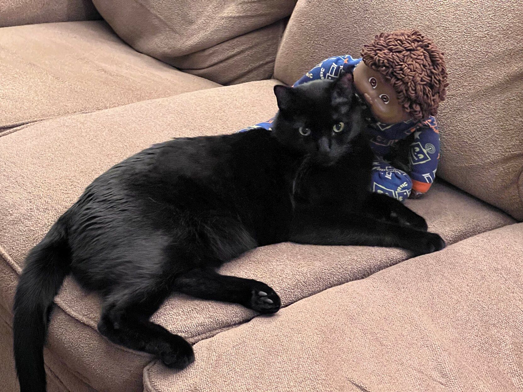 Mastodon Post 2023-06-17