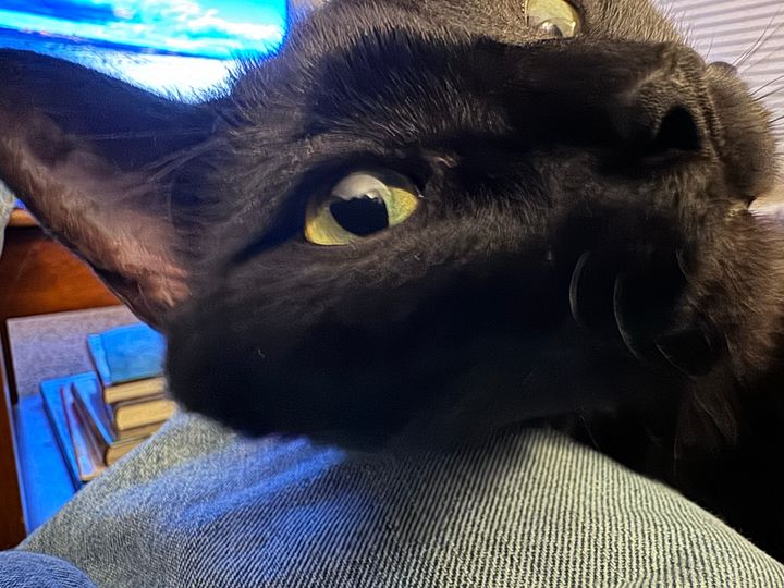 Bluesky Post 2025-05-10