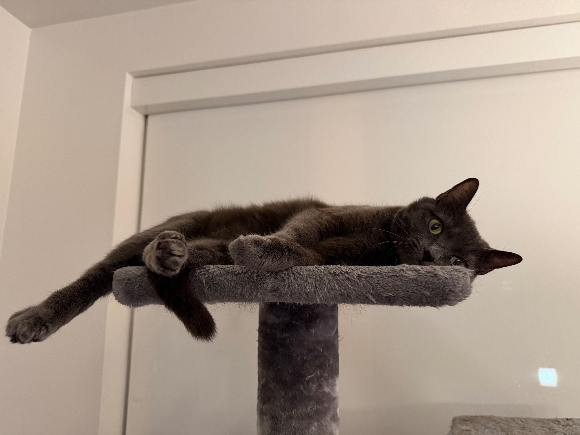 Bluesky Post 2026-01-11