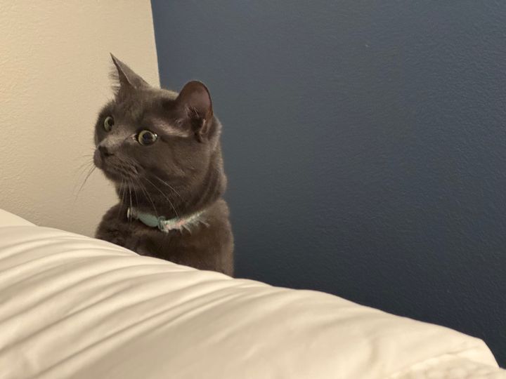 Bluesky Post 2025-07-12