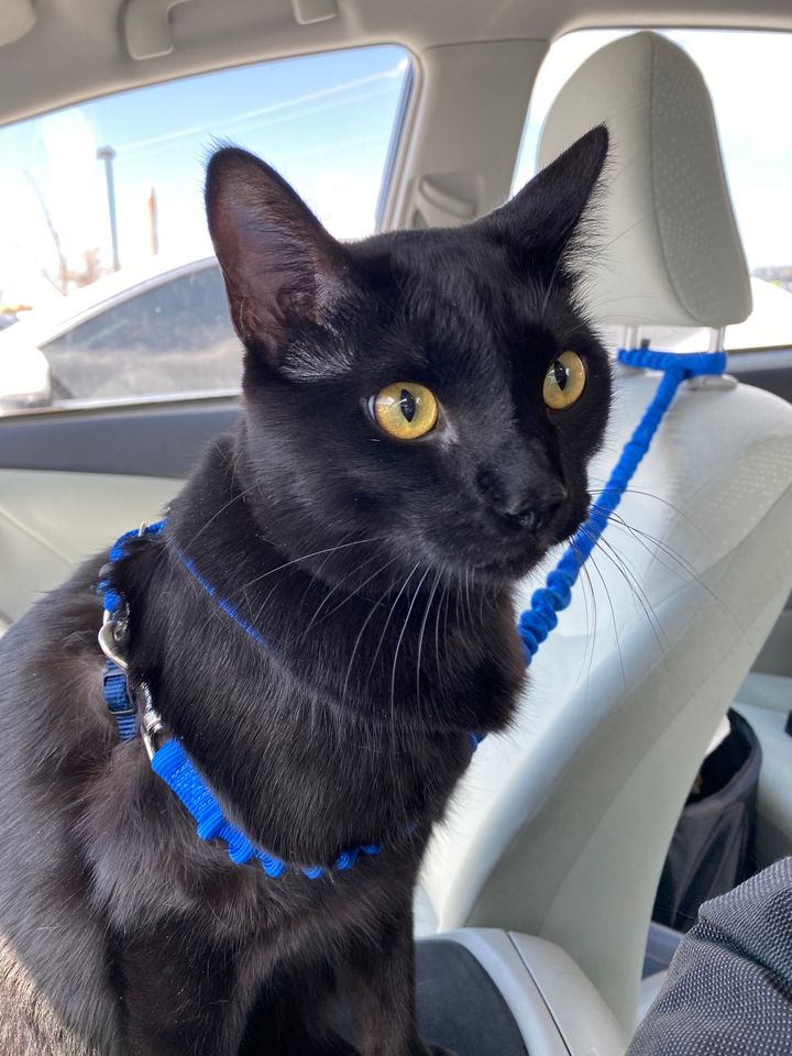 Bluesky Post 2023-07-15