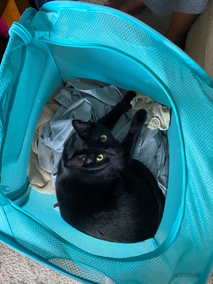 Mastodon Post 2024-01-27