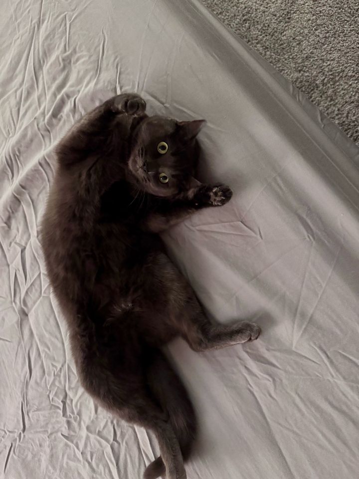 Bluesky Post 2024-11-30