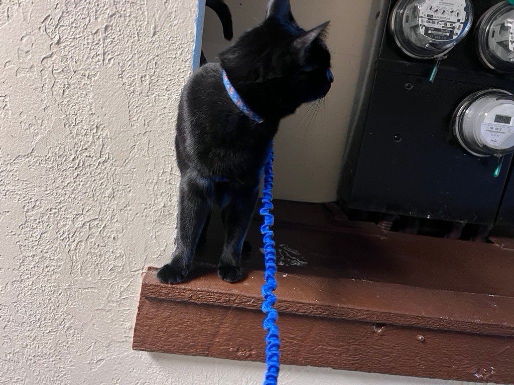 Mastodon Post 2024-09-14