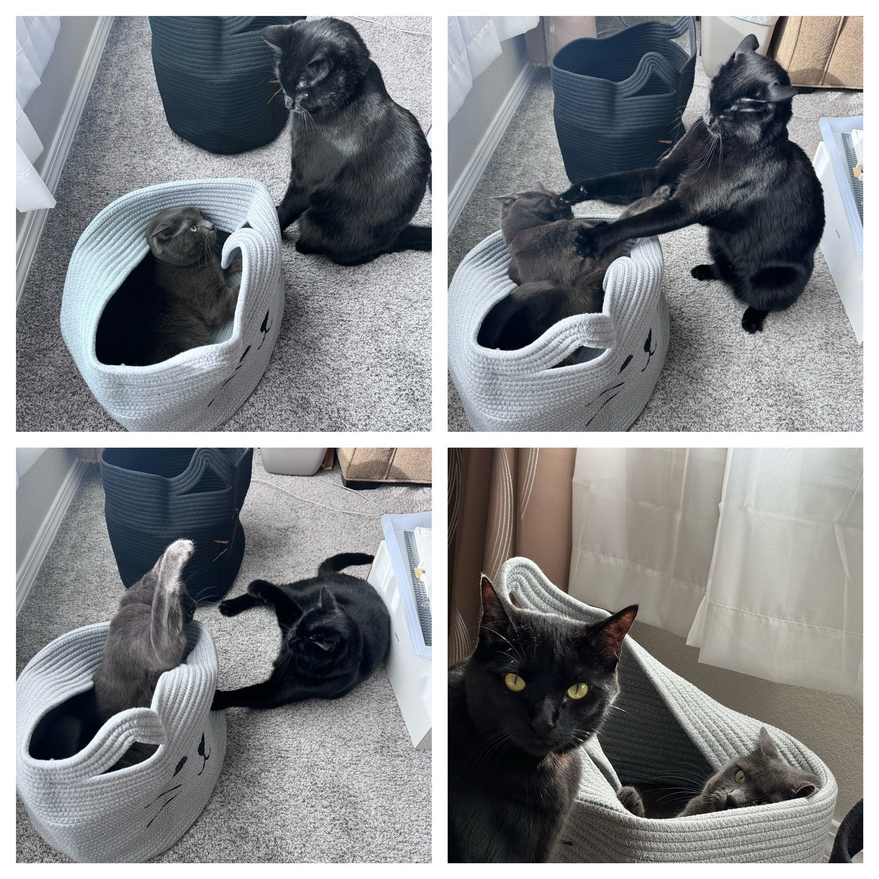 Mastodon Post 2024-02-17