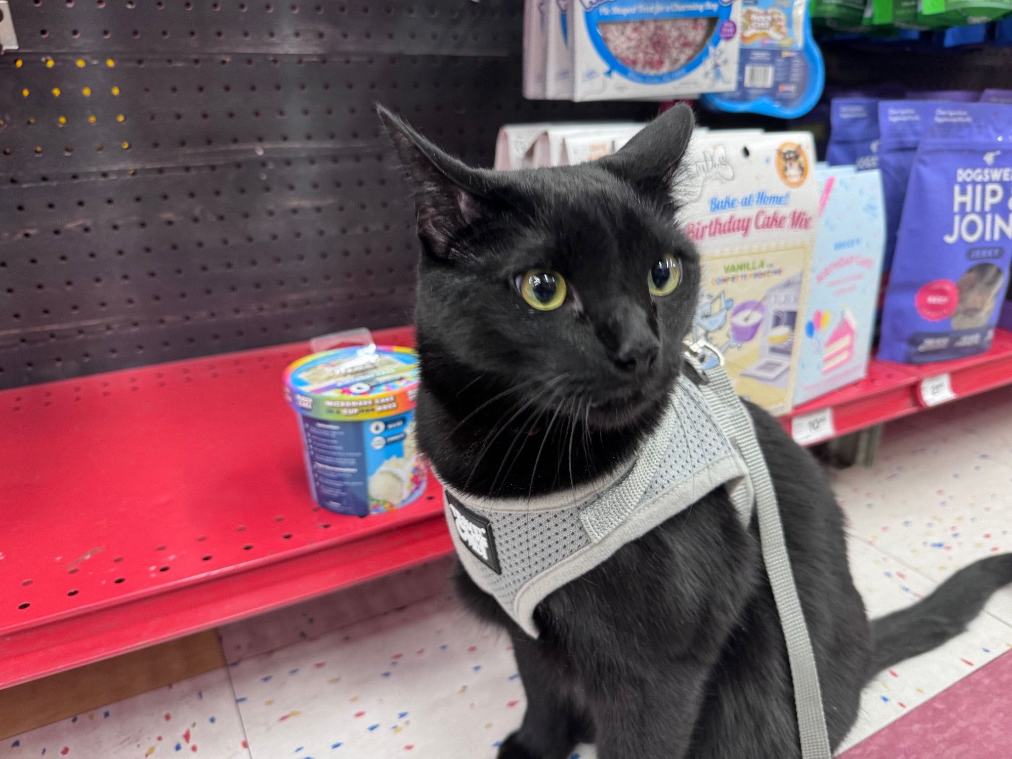 Bluesky Post 2023-11-18