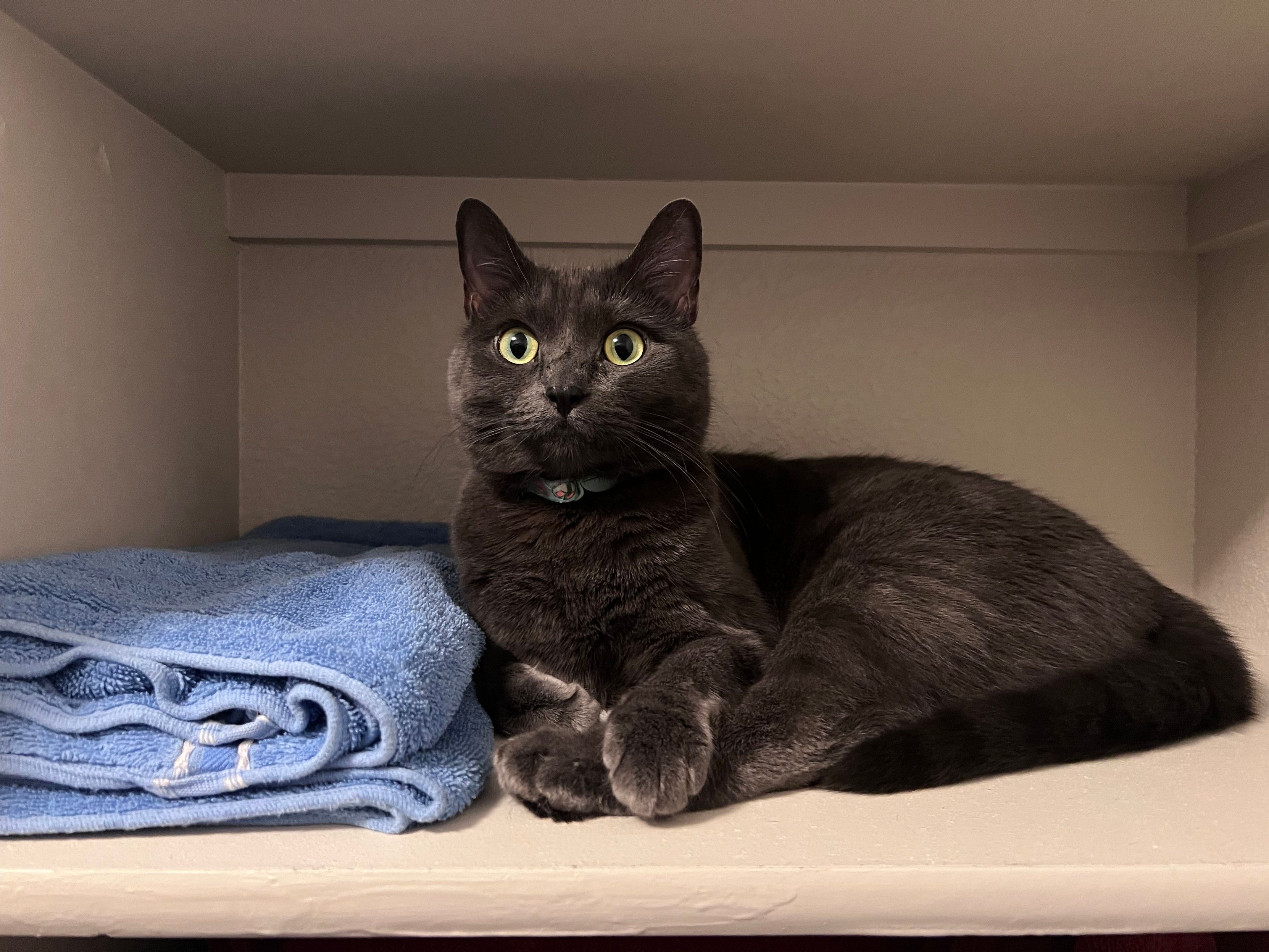 Mastodon Post 2023-10-14