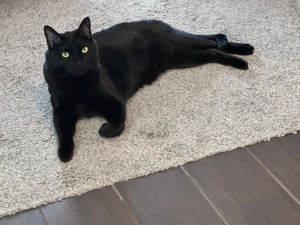 Mastodon Post 2024-08-17