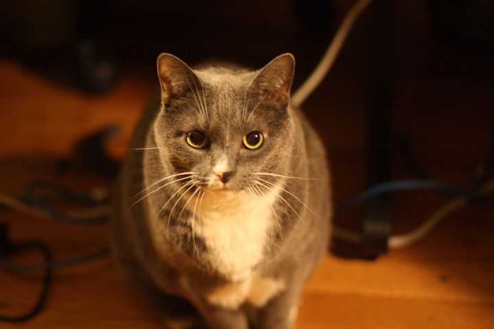 Bluesky Post 2023-12-23