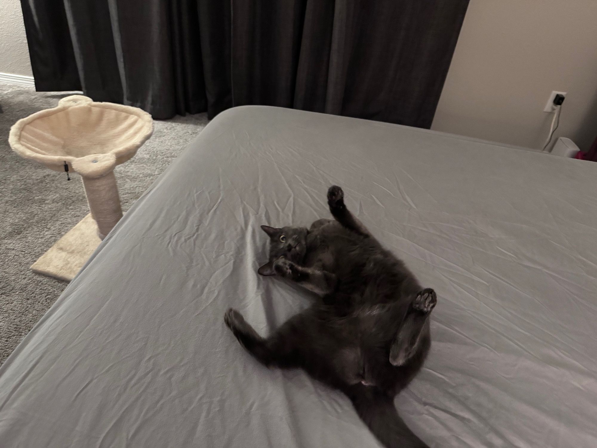 Bluesky Post 2024-05-25