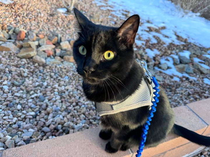 Mastodon Post 2024-03-16