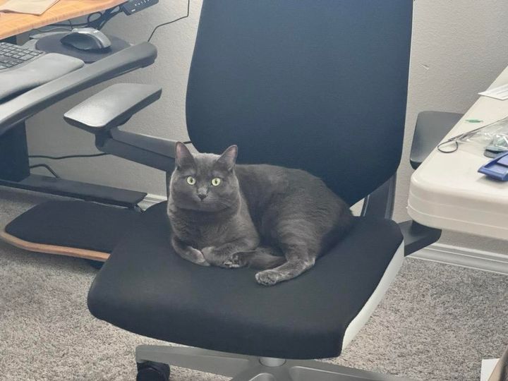 Mastodon Post 2025-06-14