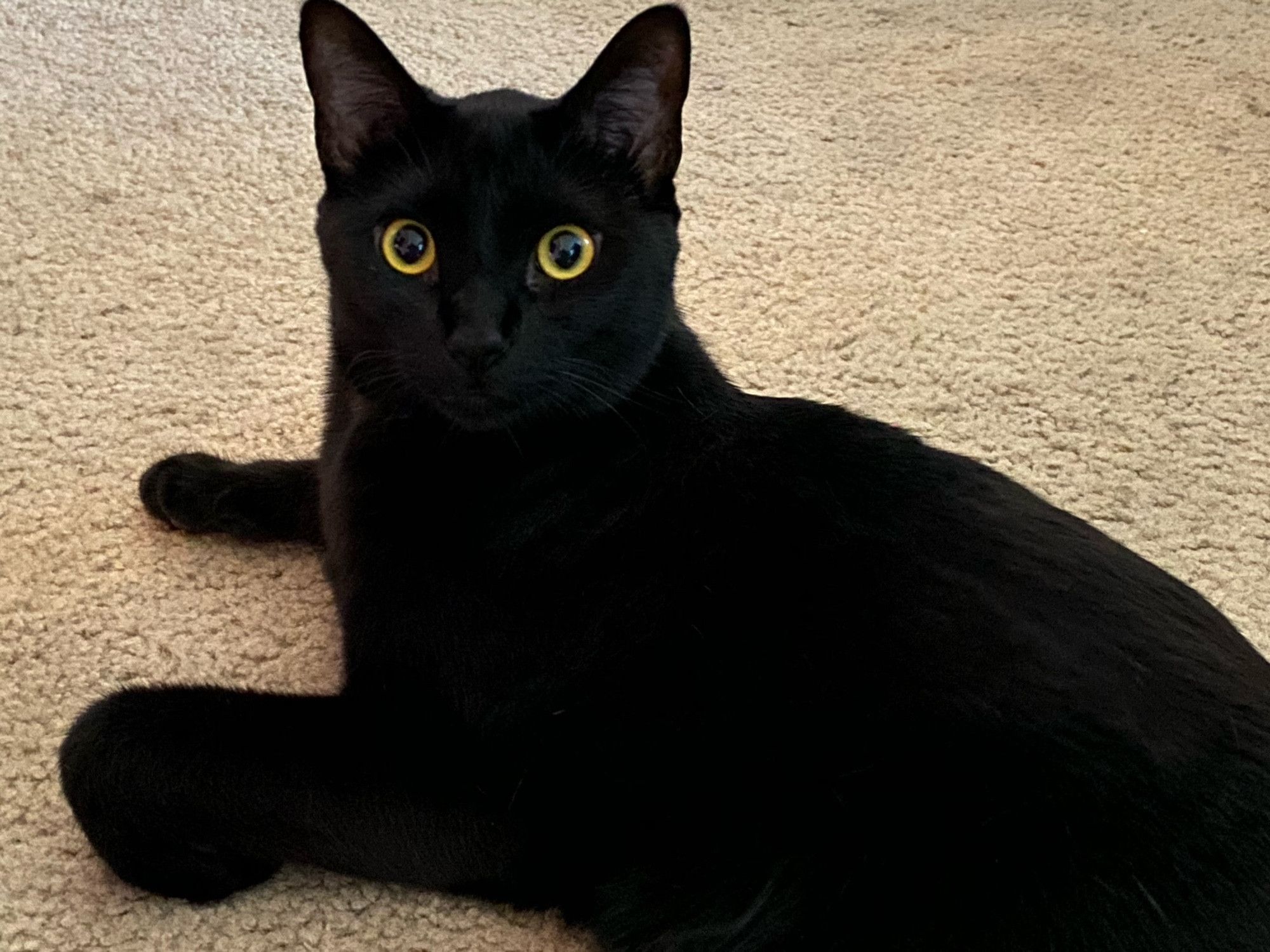 Bluesky Post 2024-10-26