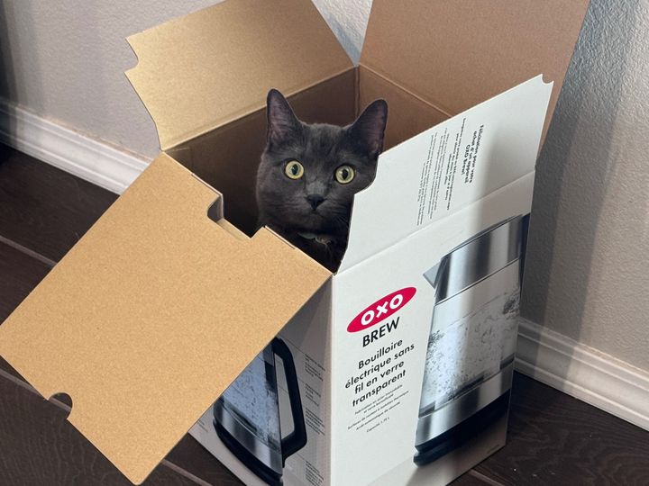 Bluesky Post 2025-02-08