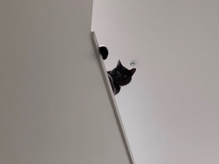 Bluesky Post 2025-08-09