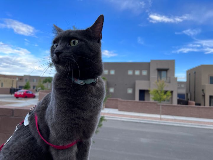 Mastodon Post 2023-05-28