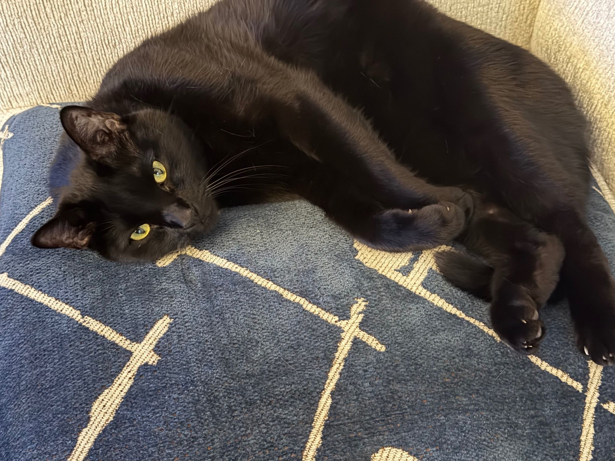 Bluesky Post 2025-12-20