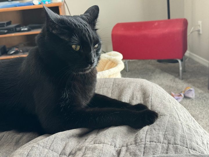 Mastodon Post 2024-08-31