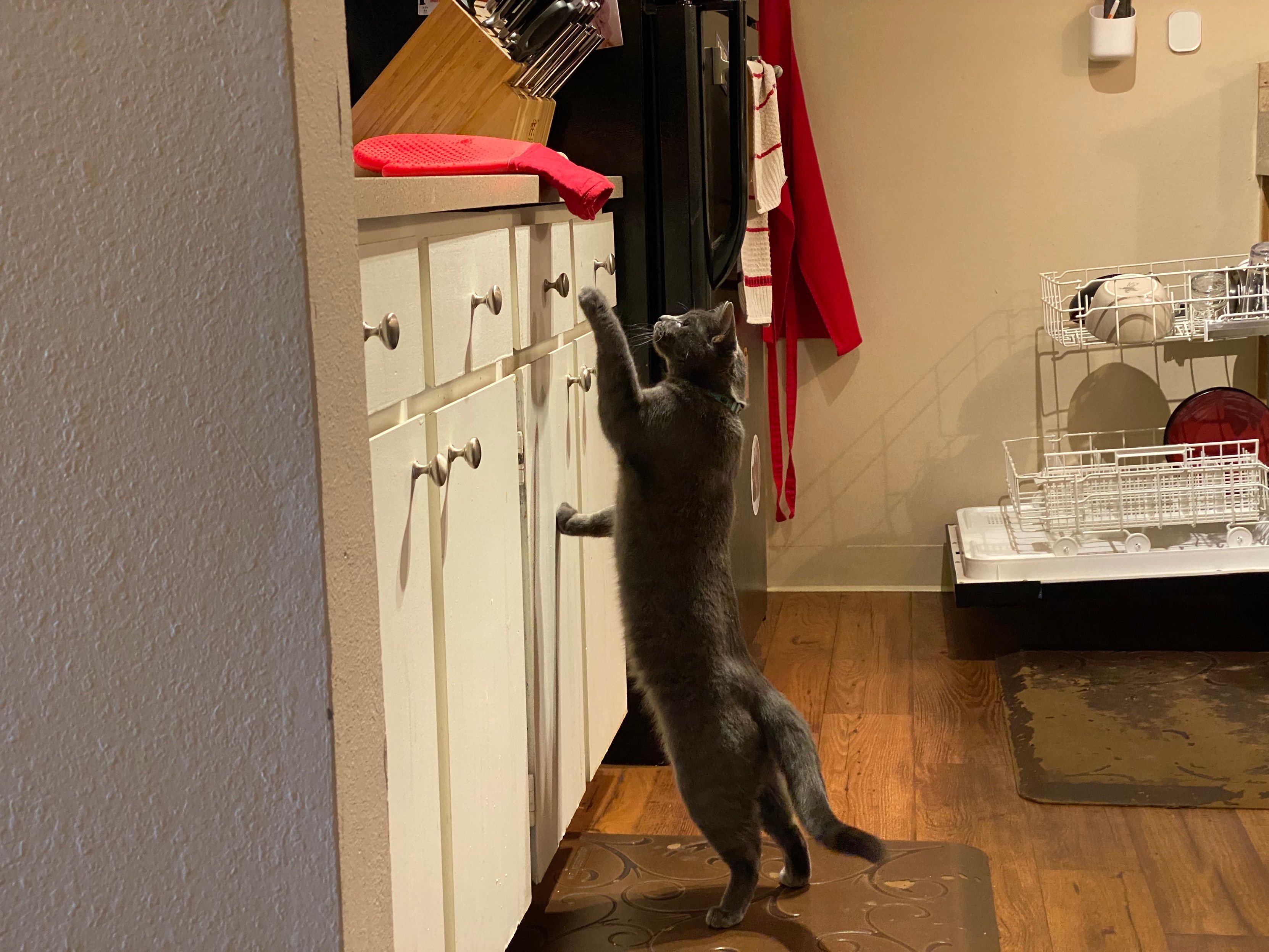 Mastodon Post 2023-11-11