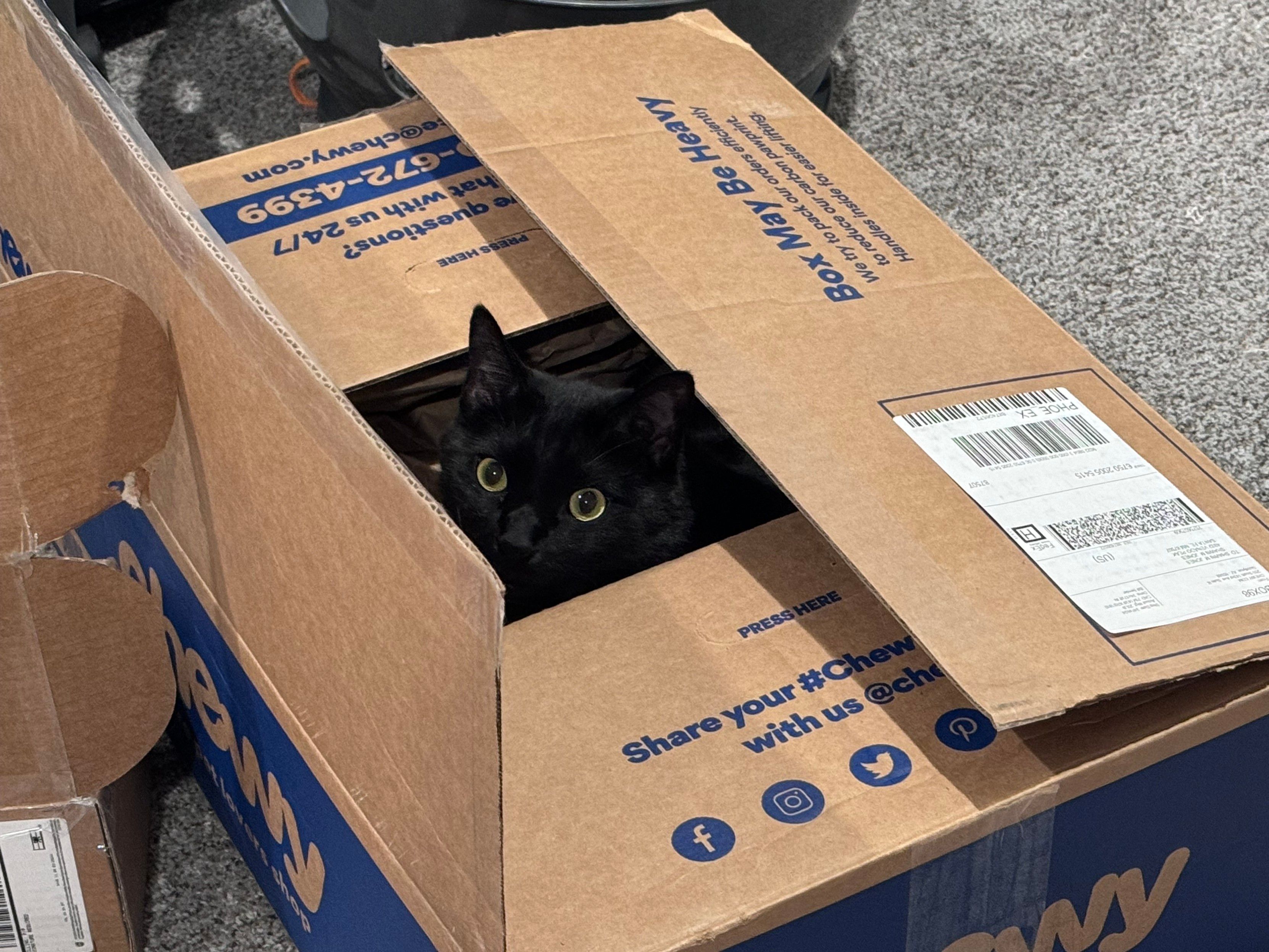 Mastodon Post 2024-06-01