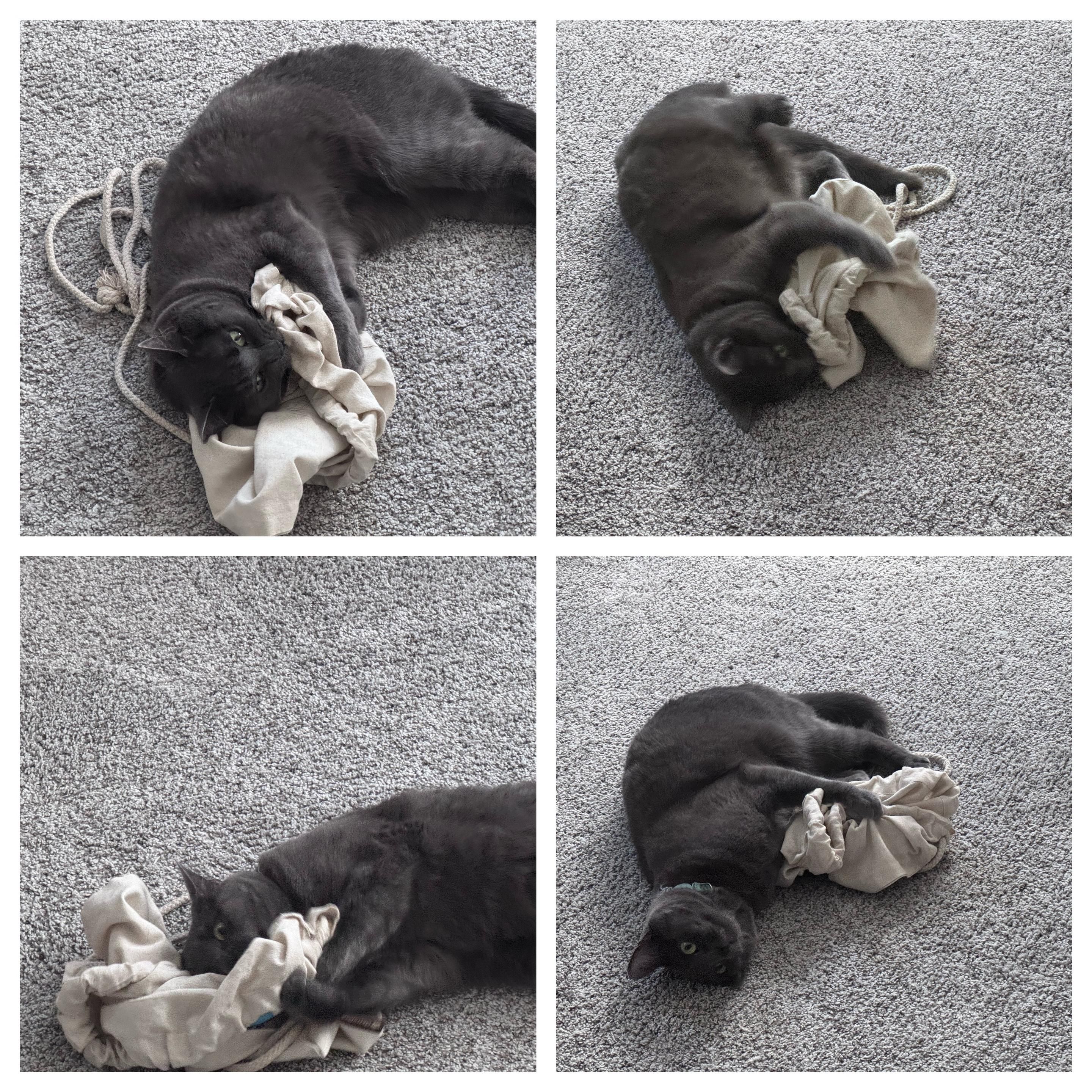 Mastodon Post 2025-04-19