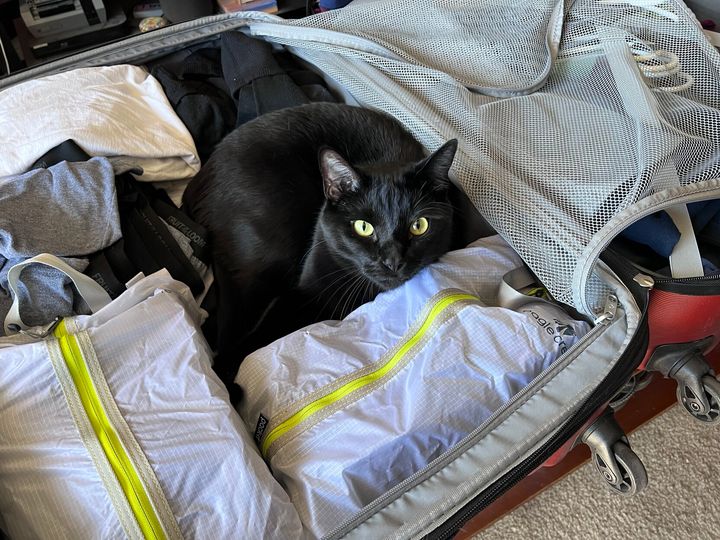 Mastodon Post 2023-06-03