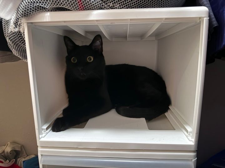 Mastodon Post 2023-12-02