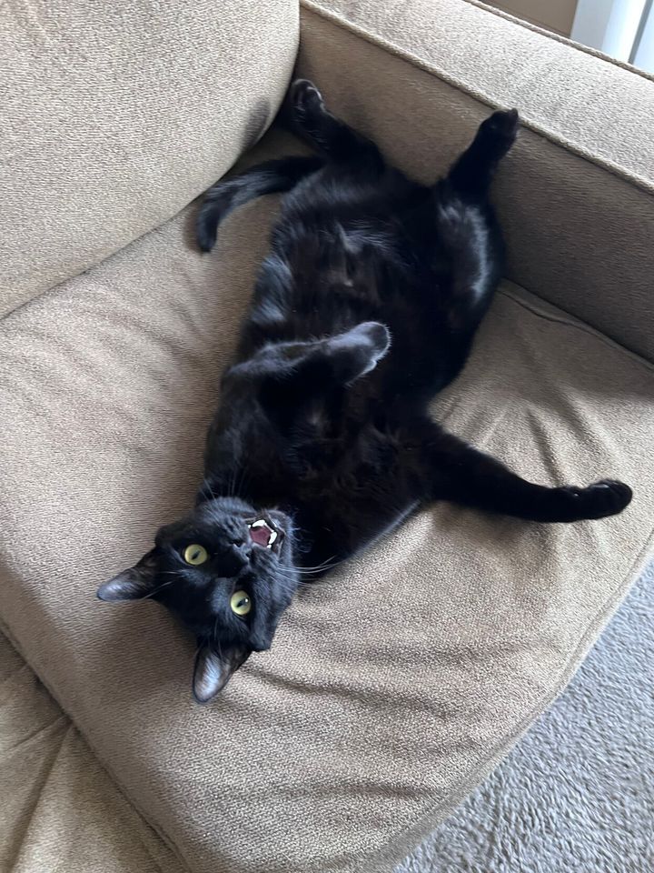 Mastodon Post 2023-09-24