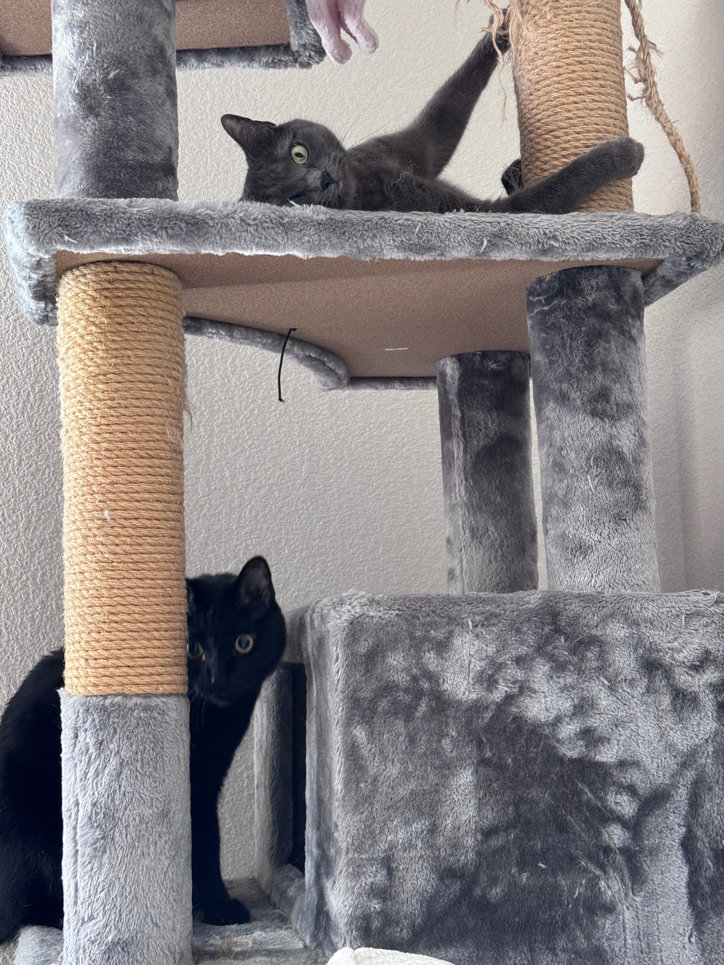 Mastodon Post 2025-02-23