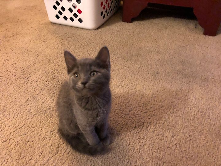 Mastodon Post 2023-02-25