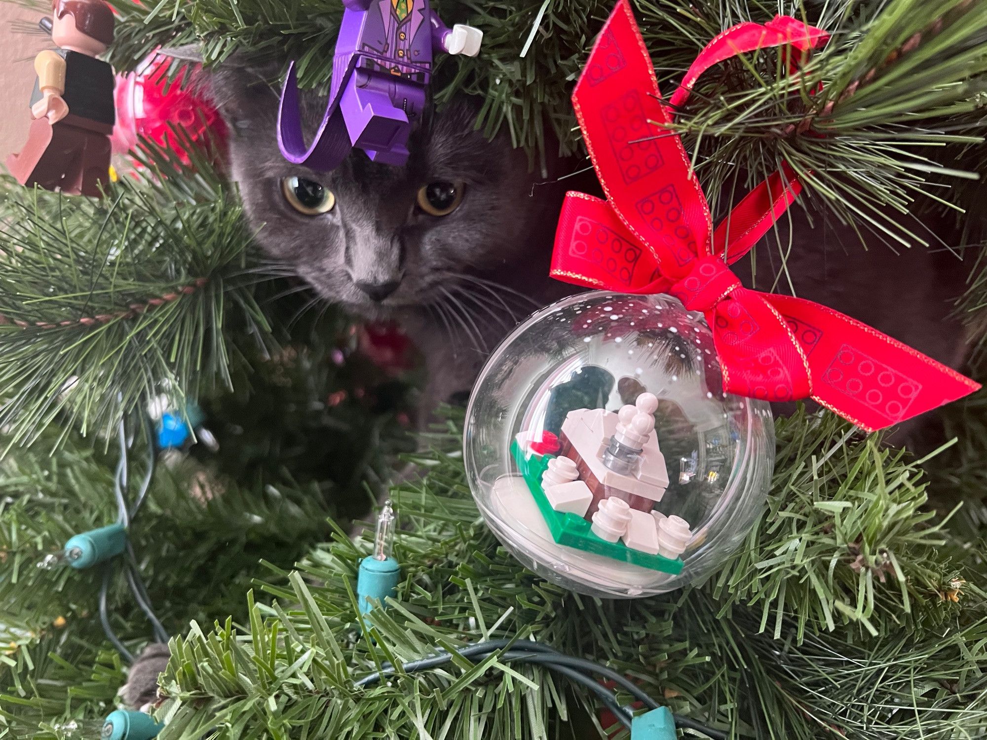 Bluesky Post 2025-12-25